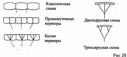 Нервюры